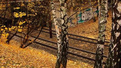 tracks and colors