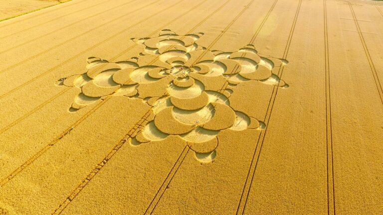 Preacher, Broaden the Circle